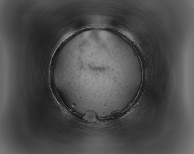 X0000087001229200705071459