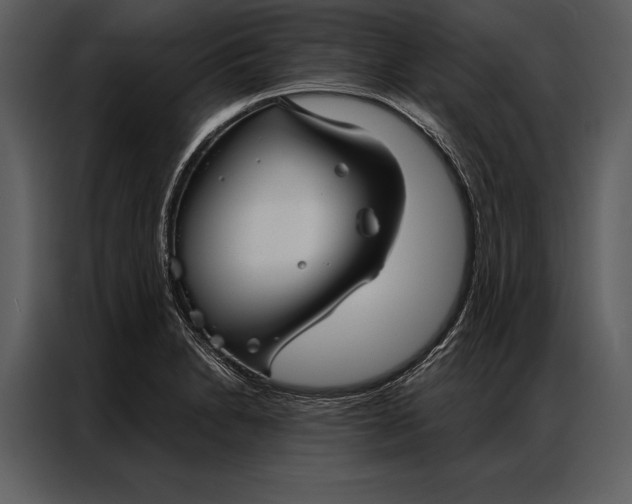 X0000087001230200705071459