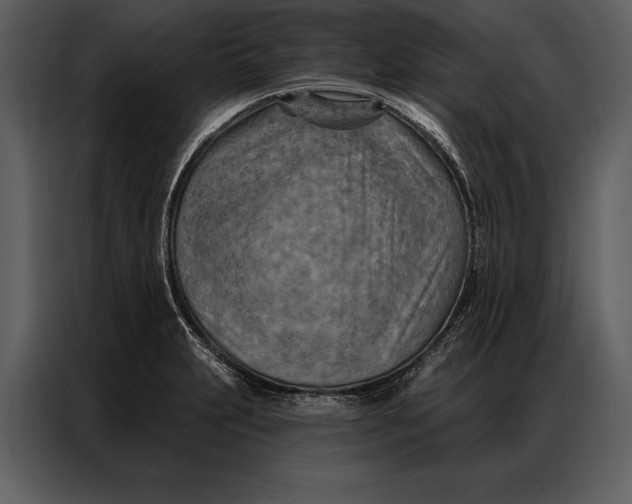 X0000087001231200705071459