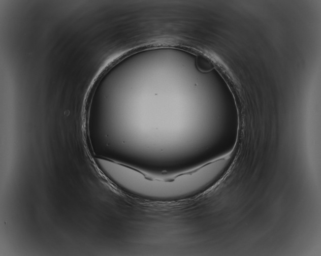 X0000087001232200705071459