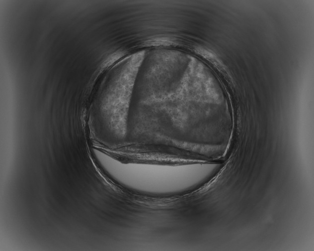 X0000087001233200705071459