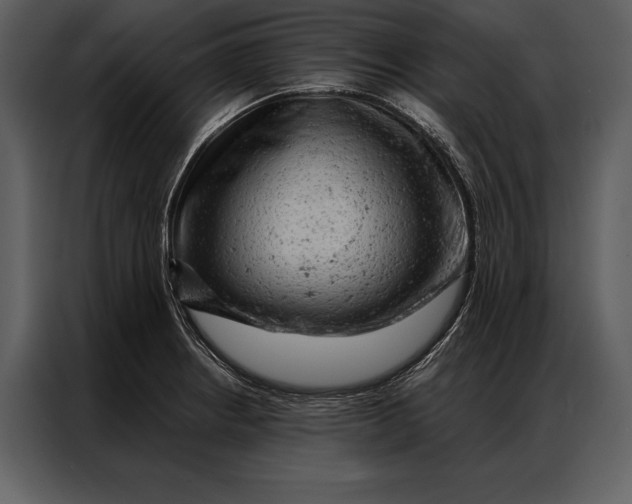 X0000087001234200705071459