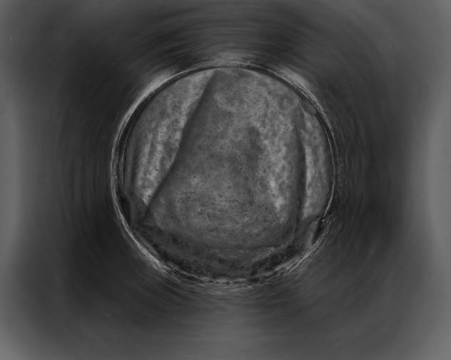 X0000087001235200705071459