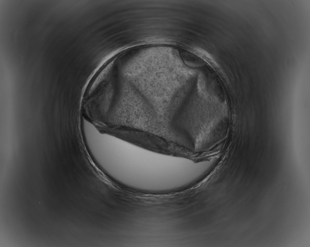 X0000087001236200705071459