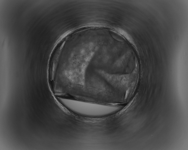 X0000087001237200705071459