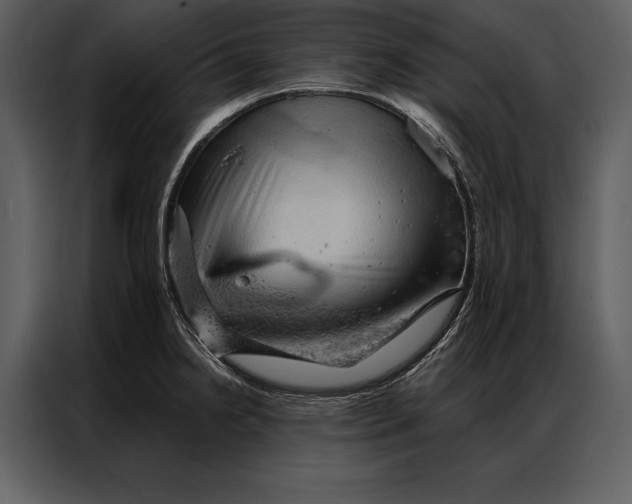 X0000087001238200705071459