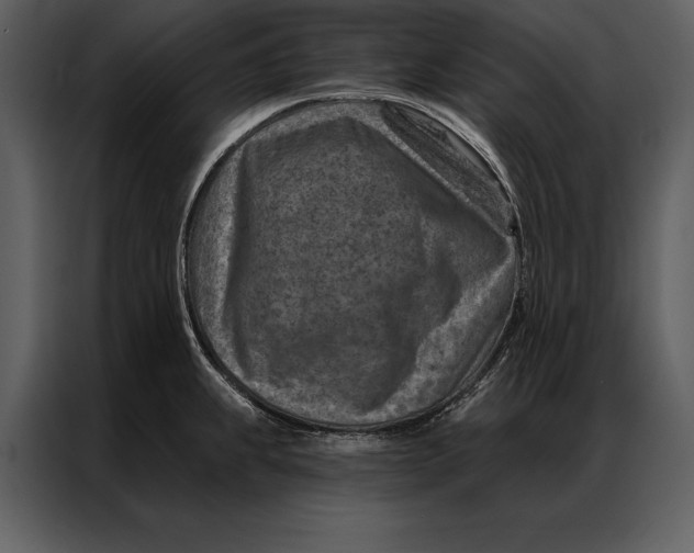 X0000087001239200705071459