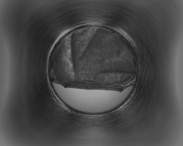 X0000087001240200705071459