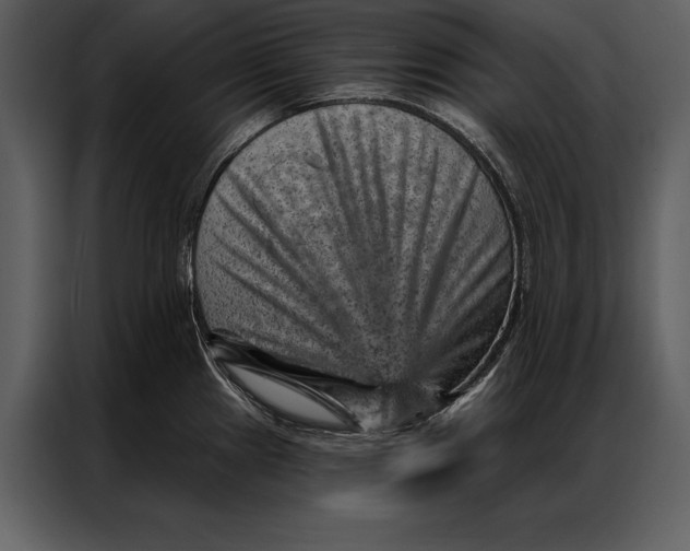 X0000087001241200705071459