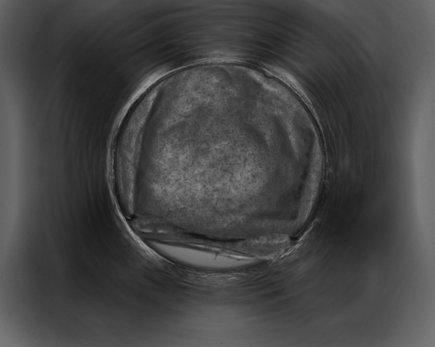 X0000087001243200705071459