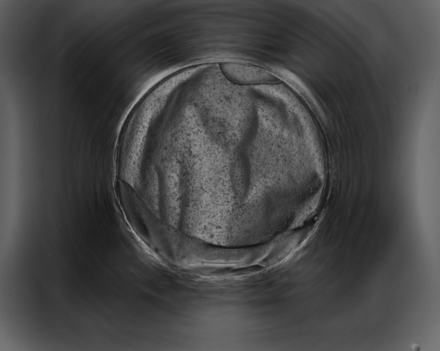 X0000087001244200705071459