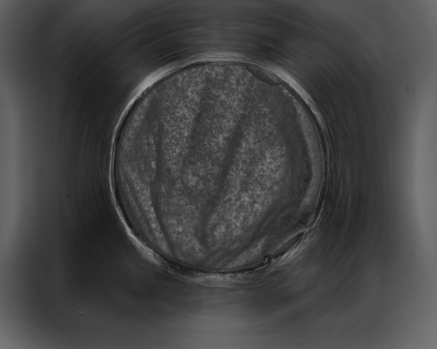 X0000087001245200705071500