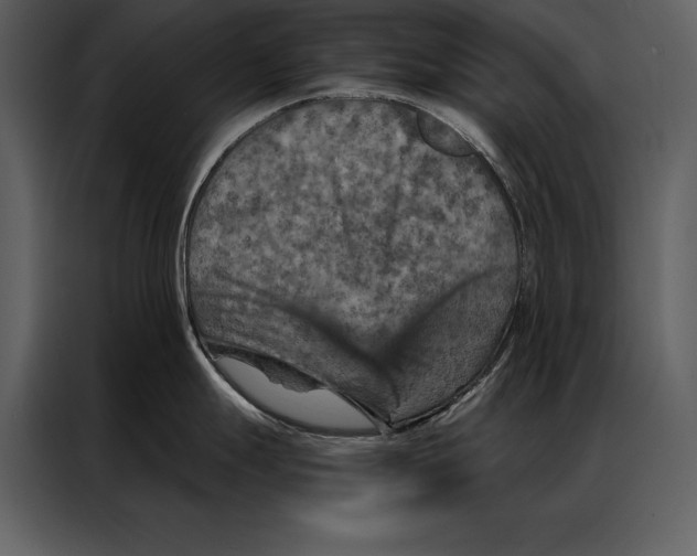 X0000087001247200705071500