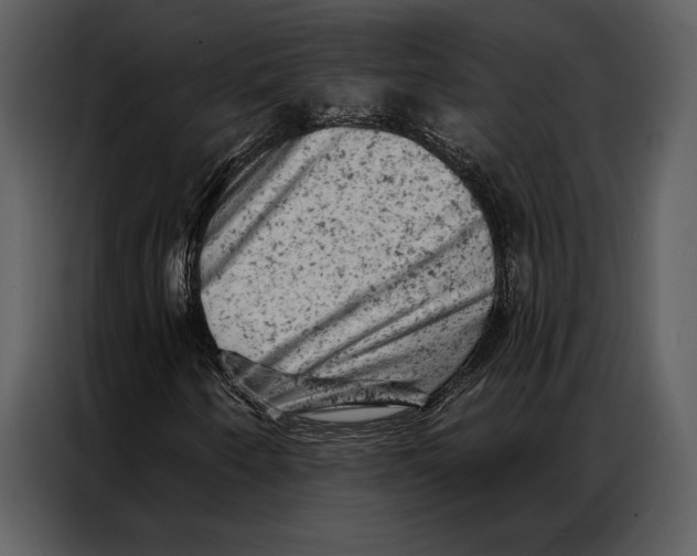 X0000087001250200705071459