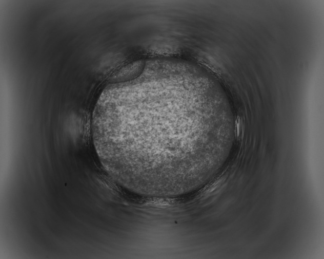 X0000087001251200705071459