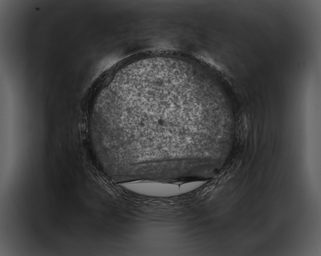 X0000087001255200705071459