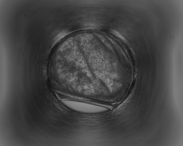 X0000087001259200705071459