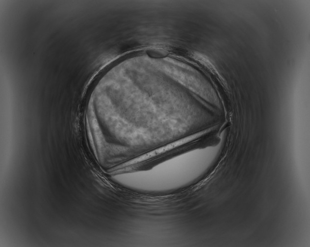 X0000087001260200705071459