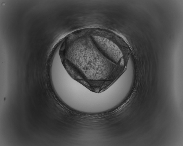 X0000087001263200705071459