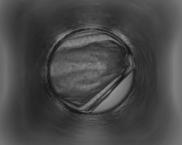 X0000087001264200705071459