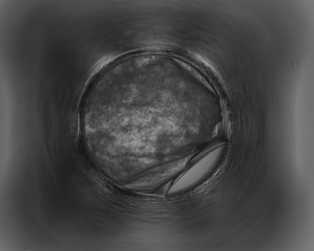 X0000087001267200705071459