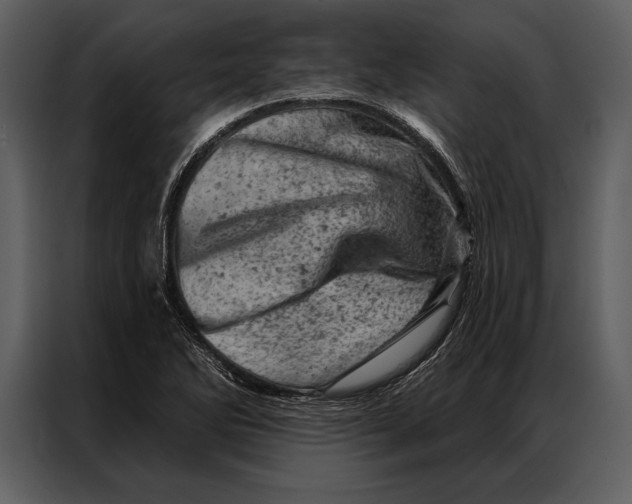 X0000087001270200705071459