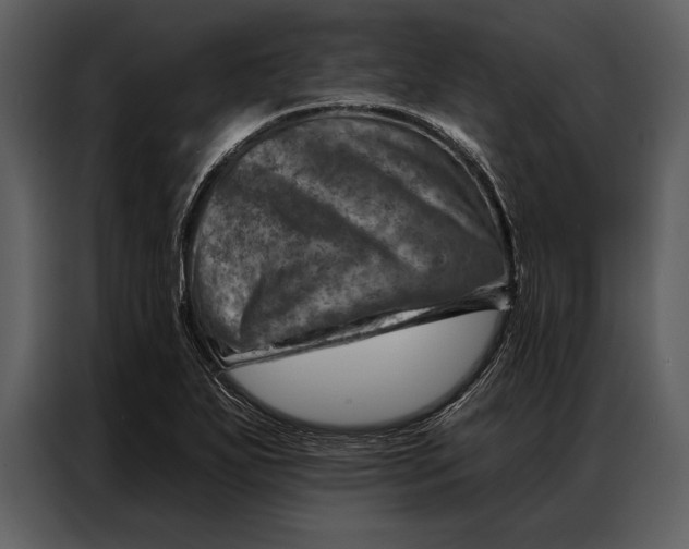 X0000087001271200705071459