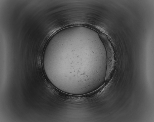 X0000087001273200705071459