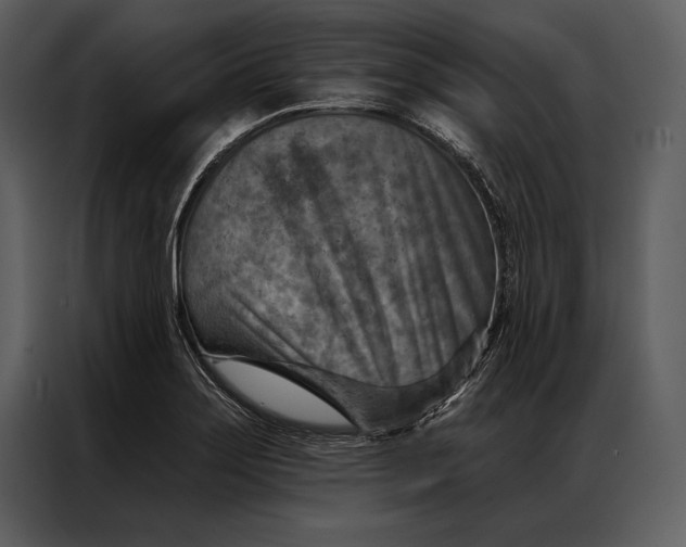 X0000087001275200705071459