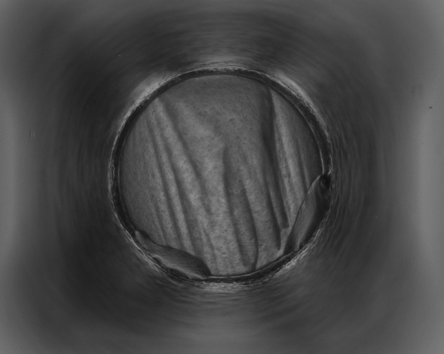 X0000087001277200705071459