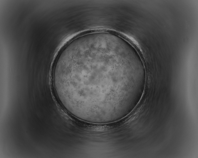 X0000087001279200705071459