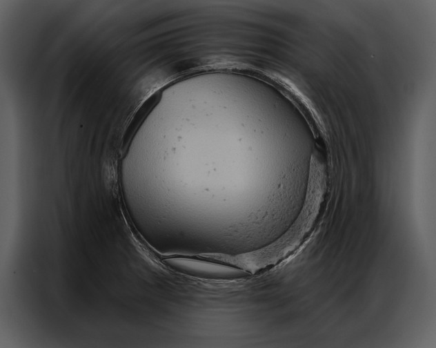 X0000087001281200705071459