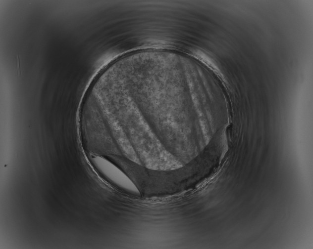 X0000087001283200705071458