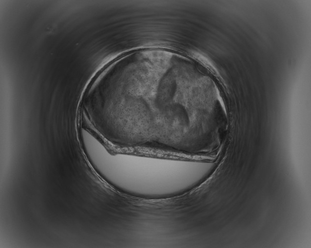 X0000087001284200705071458