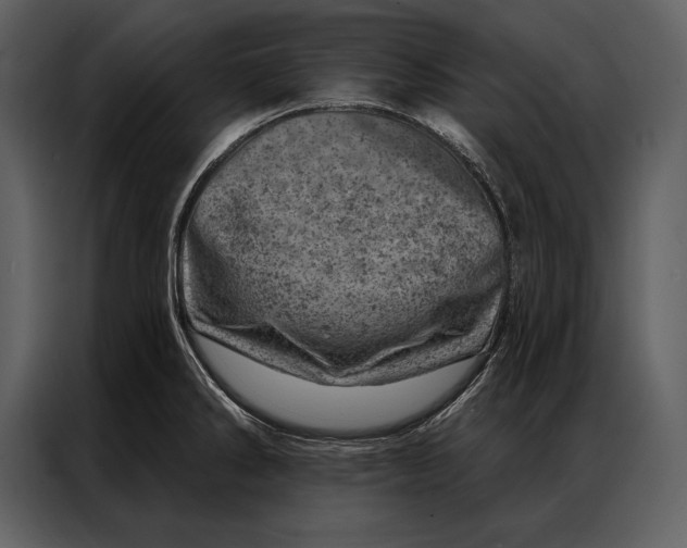 X0000087001286200705071458