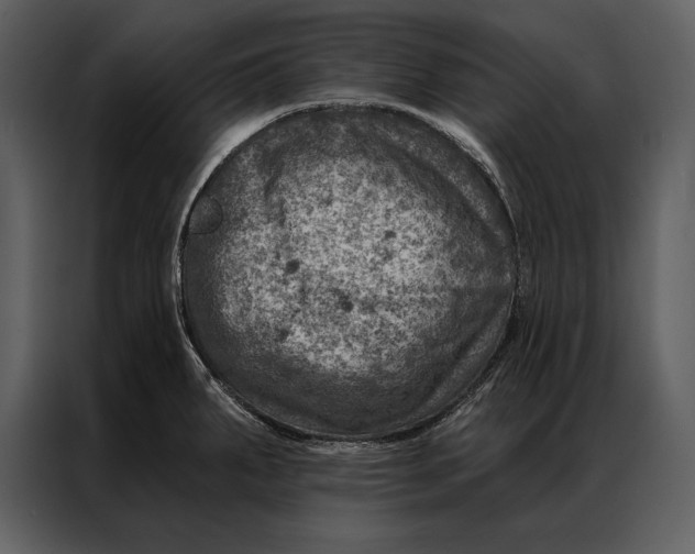 X0000087001287200705071458