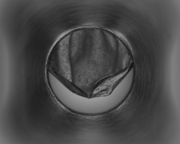 X0000087001288200705071458