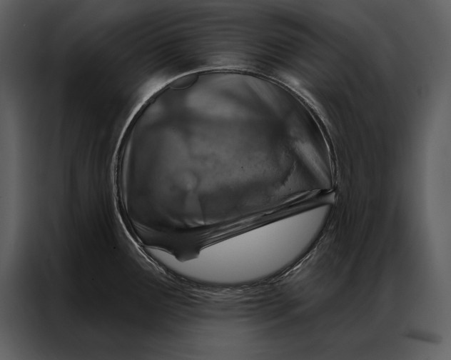 X0000087001291200705071458