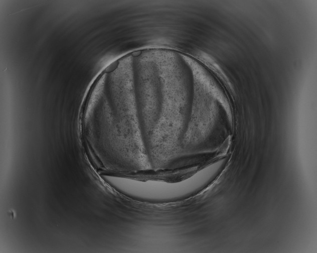 X0000087001292200705071458