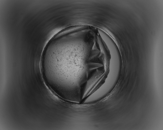 X0000087001293200705071458