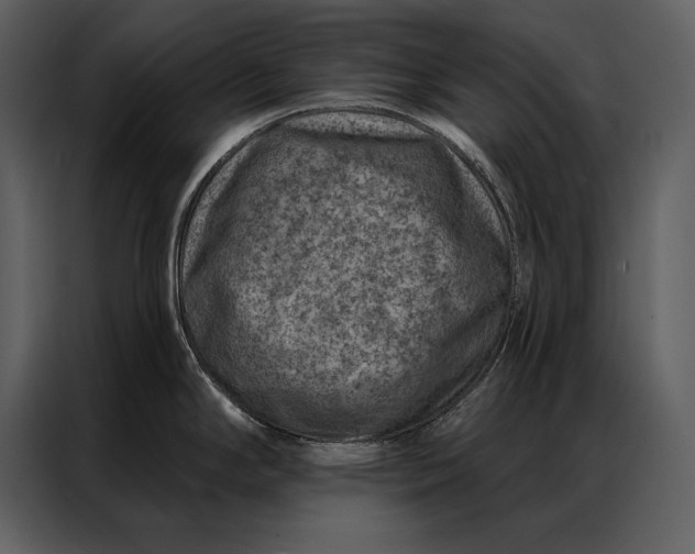 X0000087001294200705071458