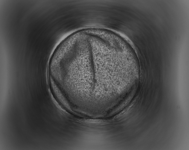 X0000087001295200705071458