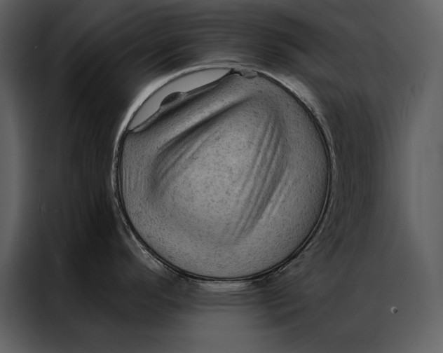 X0000087001296200705071458