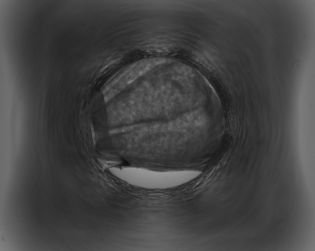 X0000087001297200705071458