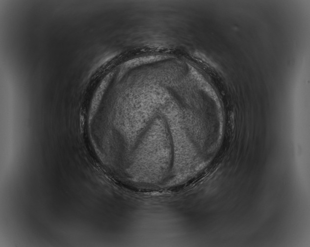 X0000087001302200705071458