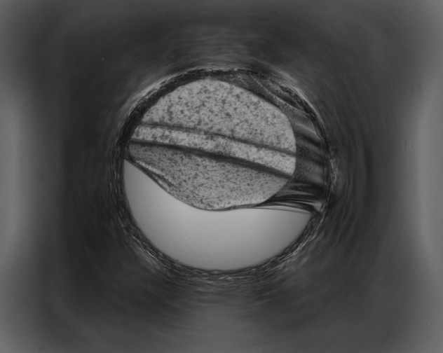 X0000087001304200705071458