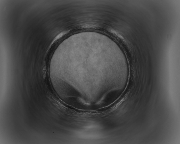 X0000087001306200705071458