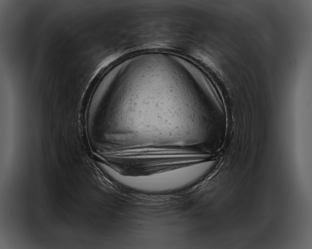 X0000087001308200705071458