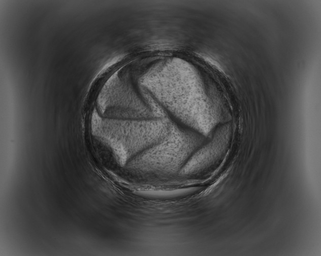 X0000087001309200705071458