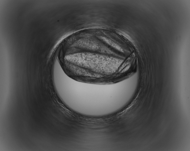 X0000087001310200705071458